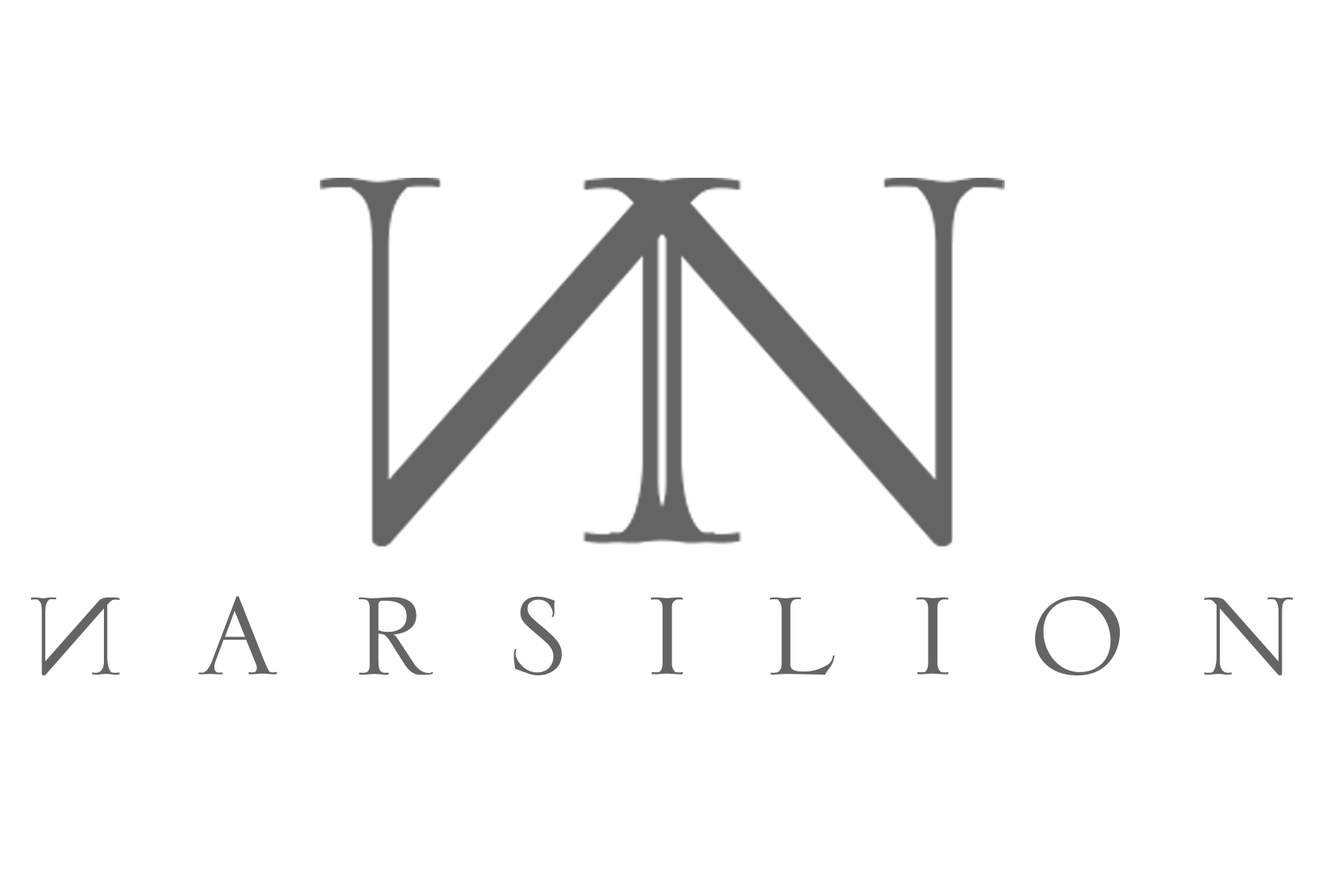 Narsilion logo